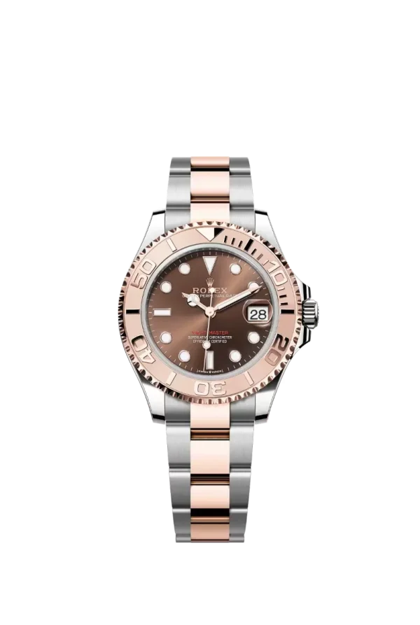 Chocolate Dial Everose Rolesor Oyster