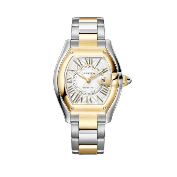 Steel & Yellow Gold Automatic Medium Model