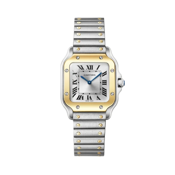 Steel AND Yellow Gold Silver Dial Size Small