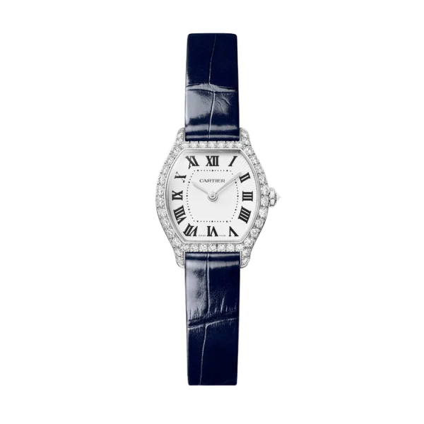 18K White Gold Diamonds Mini Model